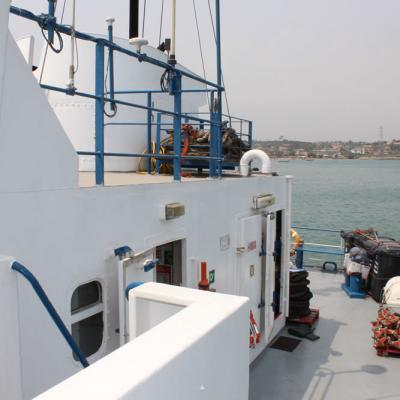 Am Delta219