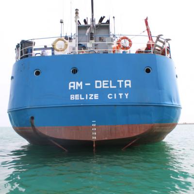 Am Delta260